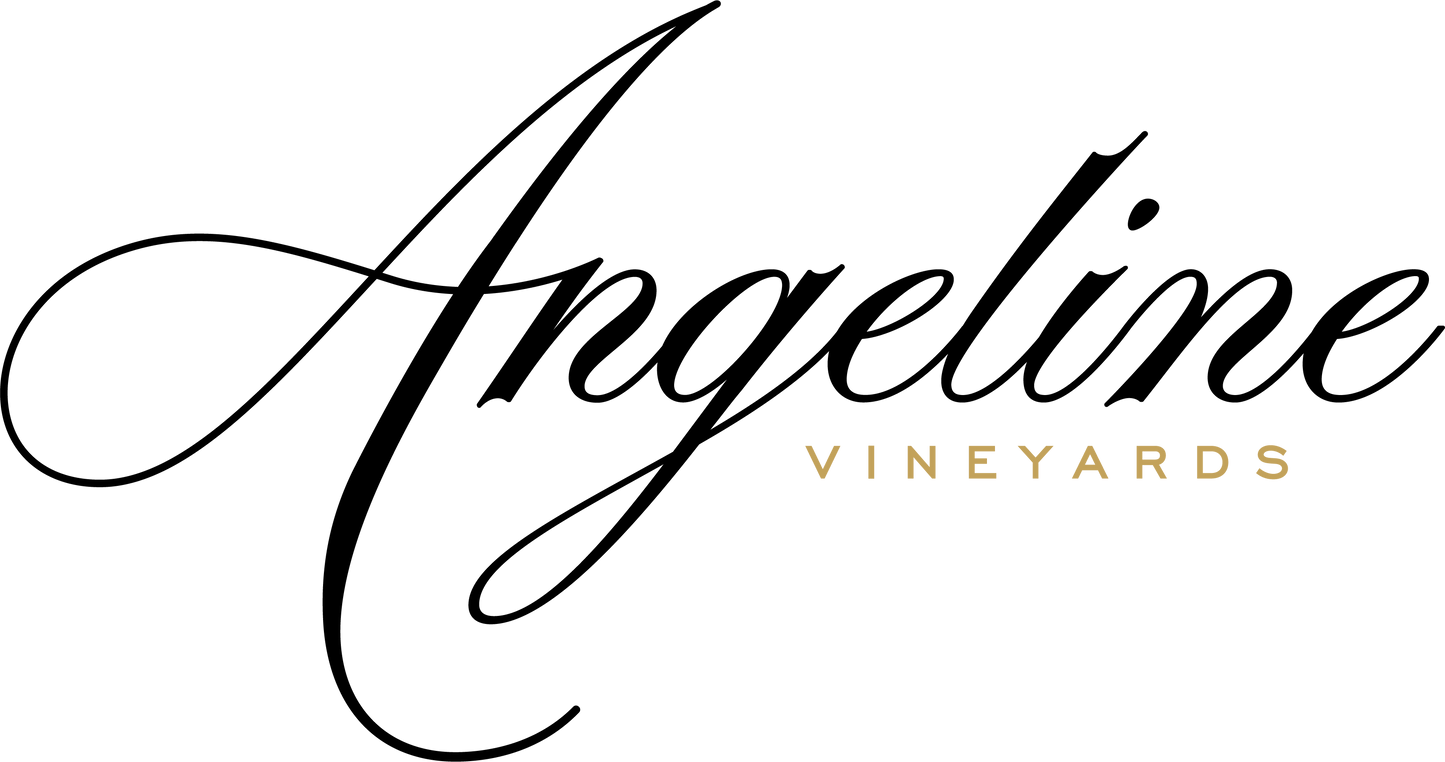 ANGELINE CABERNET SAUVIGNON