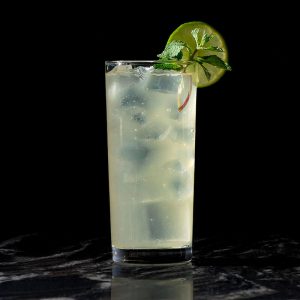 CRAFT STANDARD THE MOJITO KEG 2 MIAMI BEER KEGS STORE