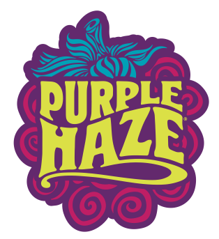 ABITA PURPLE HAZE MIAMI BEER KEGS STORE