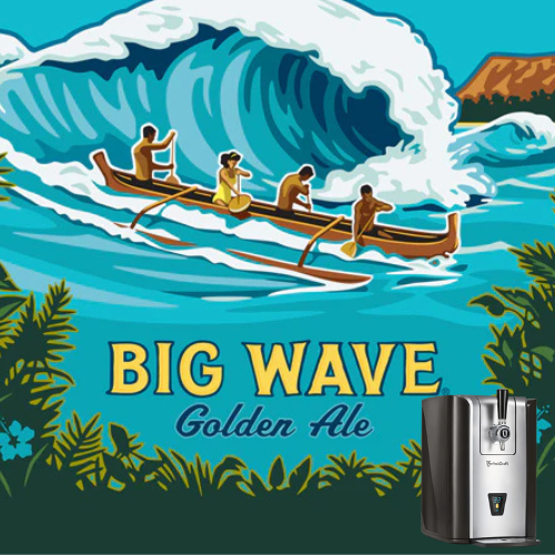 KONA BIG WAVE DISPOSABLE KEGS MIAMI BEER DISPOSABLE KEGS STORE